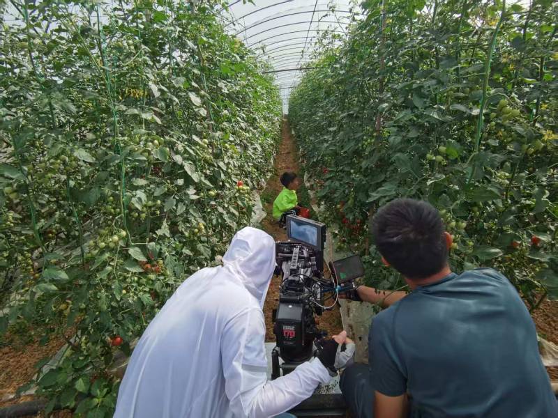 番禺区产品宣传视频拍摄公司进阶指南，助力品牌抢占传播高地